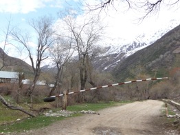 Tajikistan - forest management